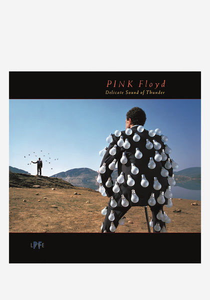 Pink Floyd-Delicate Sound Of Thunder Live 2 LP Vinyl | Newbury Comics