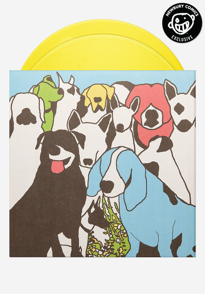 The Format-Dog Problems Exclusive 2LP Color Vinyl | Newbury Comics